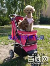 宠物推车批发零售 为爱宠打造舒适出行体验