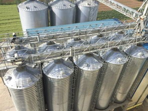 安德里茨与澳华集团深化合作 第二个技术转让项目成功投产